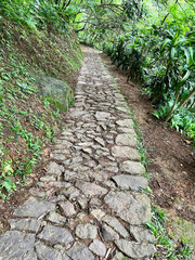 Obraz premium Winding path on the edge of a cliff, a hiking trail in the forest with stacked rocks on the path