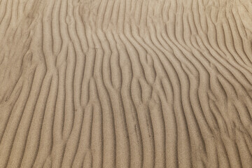 Pattern of a dune of Maspalomas, Gran Canaria on a sunny day.