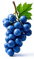 Fototapeta premium Luscious blue grapes, glistening with water droplets, isolated , food, beverage, autumn