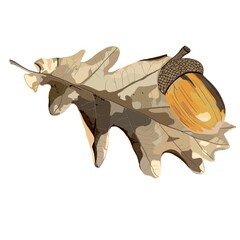 Autumn oak leaf with acorn in green beige tones, fallen leaf from tree
