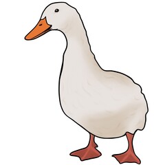 Minimalist digital drawing woodland goose