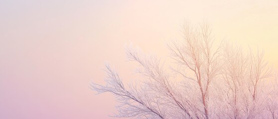 Obraz premium Delicate tree branches against a pastel sunset sky evoke a serene and peaceful winter landscape, full of subtle beauty and calmness.