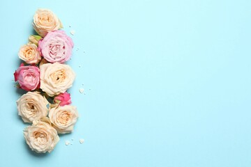 Beautiful composition with peony roses on color background