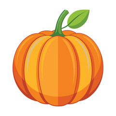 pumpkin isolated on white background