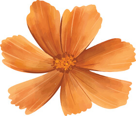 orange flower hand drawn 