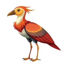 A bird with a red head and orange body stands on a white background