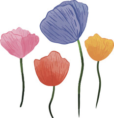set of poppy flowers hand drawn 