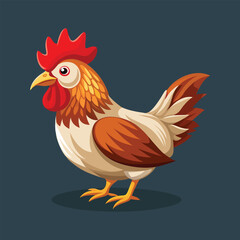 rooster isolated on white background