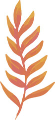 hand drawn vector illustration of an autumn leaf