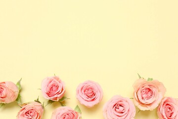 Beautiful composition with pink roses on color background