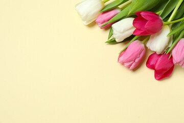 Beautiful fresh tulips on color background