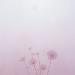Obraz premium pink flower background