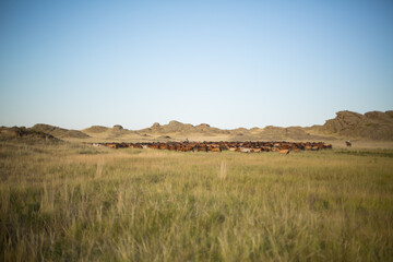 Kazakh woman and man in national costumes