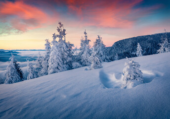 Cold winter scene of Carpathian mountains with sea of fog in the deep walley. Amazing sunrise on...