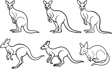 A beautiful kangaroo line art collection. This vector artwork is perfect for children's coloring books, digital designs, t-shirts and branding etc. Ideal  for wildlife lovers and artistic projects.