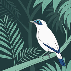 The Bali Myna – A White Gem of the Indonesian Forests