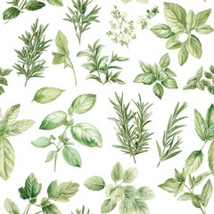 Seamless Pattern Featuring Various Herbs Including Rosemary, Basil, Mint, and Thyme for Culinary and Decorative Use