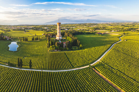 Aerial view of San Martino della Battaglia Tower surrounded of vineyard plantation and lake Garda in the background, San Martino della Battaglia, Lombardy, Italy