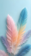Naklejka premium feather on a blue background