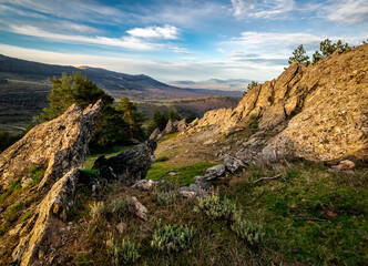Slate and pines at Sierra Norte