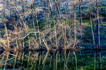 Reflections in the river Lozoya