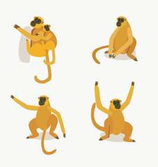 different types character Macaca sylvanus orange monkey macaca jungle vector cute flat cartoon character ilustration isolated on white background
