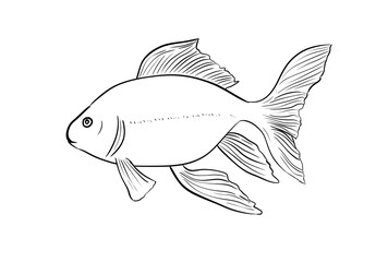 goldfish digital illustration drawing isolated