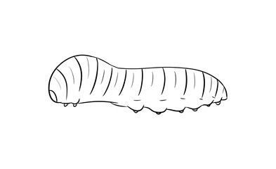 caterpillar digital illustration drawing isolated