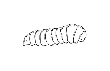 caterpillar digital illustration drawing isolated