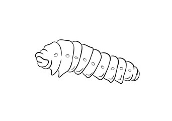 caterpillar digital illustration drawing isolated