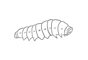 caterpillar digital illustration drawing isolated