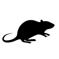rat silhouette vector illustration