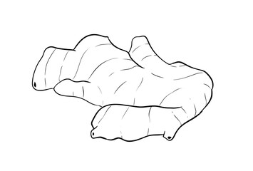 ginger digital illustration drawing isolated