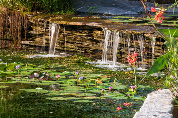 waterfall in the park