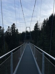 Obraz premium cable car bridge on the forest