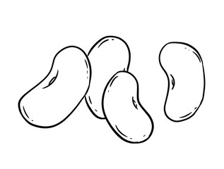 bean digital illustration drawing isolated