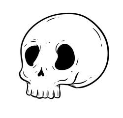 simple skull digital illustration drawing isolated