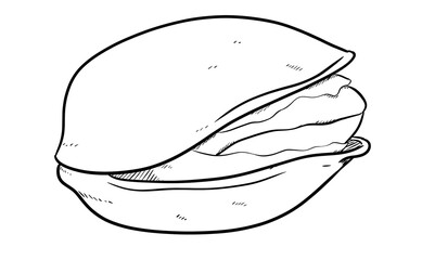 pistachio digital illustration drawing isolated