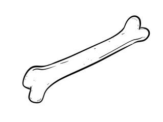bone digital illustration drawing isolated