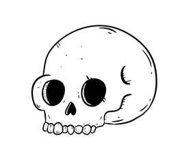 simple skull digital illustration drawing isolated