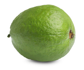 One fresh guava fruit isolated on white