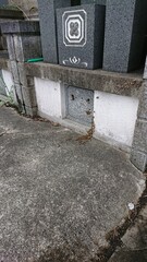 2009)Request for removal of western honey bees in the grave(Photo taken at 11:16 on august 9, 2017)