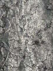 A striking photograph of dry, cracked earth, showcasing the raw beauty of nature. The intricate patterns and textures create a dramatic and captivating landscape.