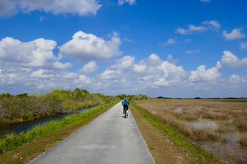 Man cycling on a paved trail through the Everglades in Florida