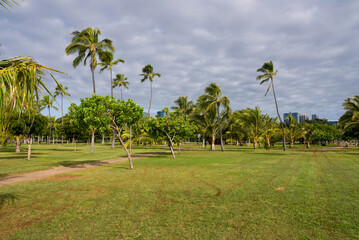 A green park with scattered palm trees, dirt paths, and open grassy areas under a cloudy sky. Modern high rise buildings are visible in the background.