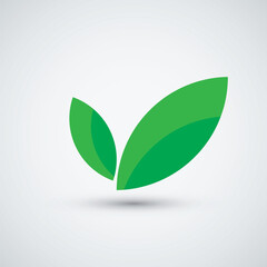 Leaf logo icon vector flat design template