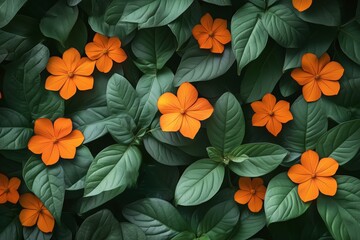 Orange flowers amidst lush green leaves create a vibrant natural setting