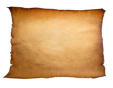 hoja pergamino en blanco, fondo transparente, alta resoluci&oacute;n