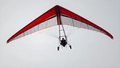 Obraz premium paragliding in the sky