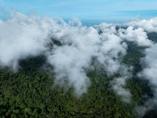Aerial view Panorama of flowing fog waves on mountain tropical rainforest,Bird eye view image over the clouds Amazing nature background